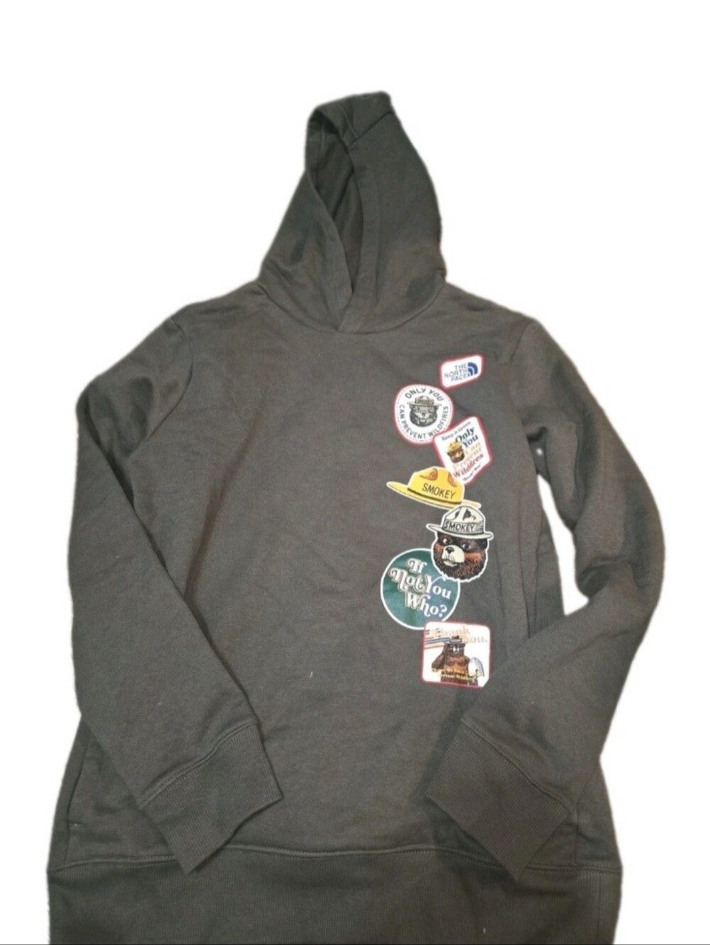 The North Face Hoodie Sweatshirt Kids Smokey The Bear XL 14/16 Taupe Green